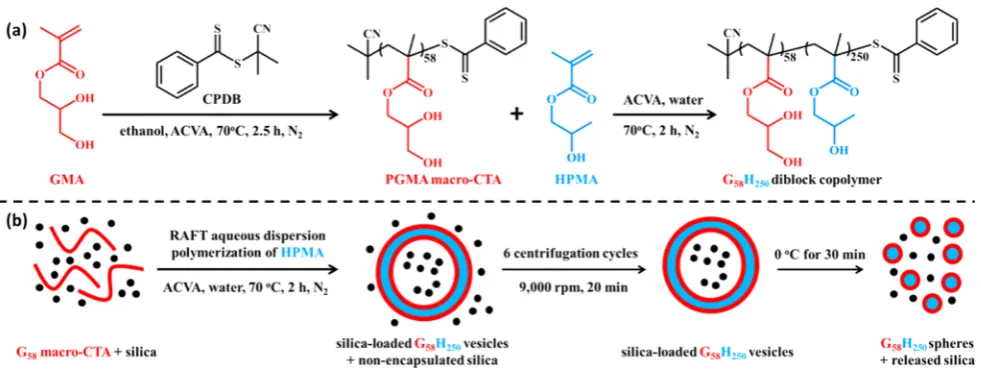 Figure 1. (a) Synthesis of a Gaqueous dispersion polymerization (targeting this copolymer composition is known to lead to vesicle formation58 macro-CTA via RAFT solution polymerization and subsequent synthesis of G58H250 diblock copolymer via RAFT35,36)