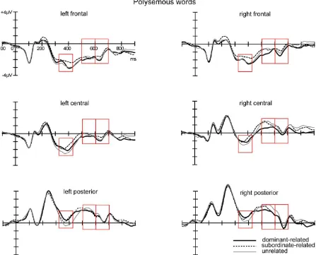 Figure 4. Grand average ERPs elicited in response to the onset of target words presented following polysemous 