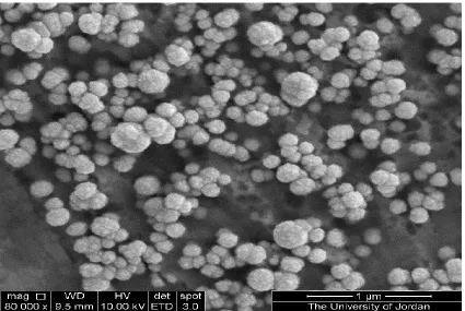 Figure 1; Scanning electron micrograph of platinum nanoelectrode. 