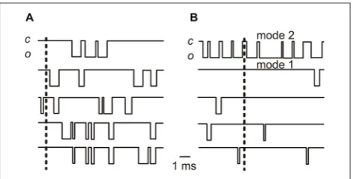 FIGURE 2 | Idealized traces showing elementary Ca2(see text). Note that the simultaneous occurrence of no openings in all 5channels is clearly more frequent incurrent is indicated by the downward deﬂection of the trace; “vertical dashed lines indicate time