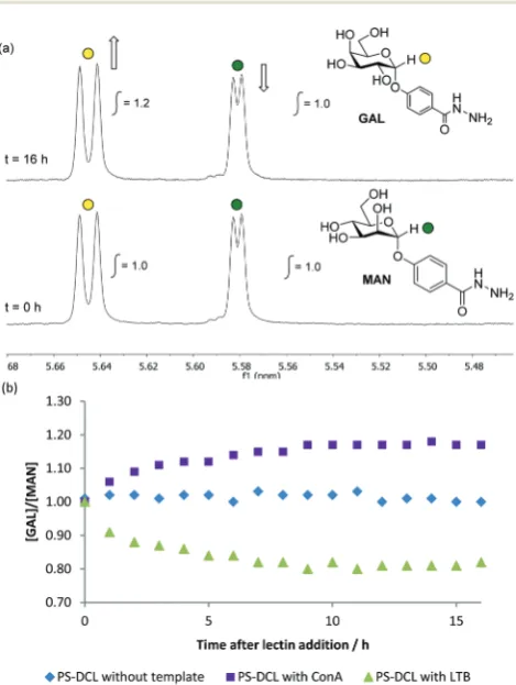 Fig. 3(a)MANcarbohydrate residue preferred by the lectin added. There is noobserved change in the relative concentrations oflectin templates to PS-DCLs upon relative concentrations of 1H NMR spectroscopic analysis (500 MHz, D2O, pH 4.5) ofPS-DCL before (t 