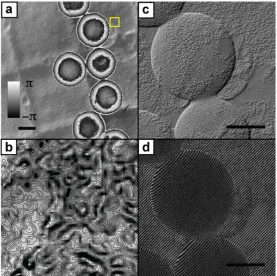 Figure 4. Results from a second experiment, displayed in a range of formats. (a) The wrapped phase image