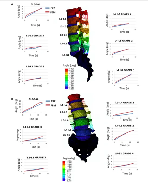 FIGURE 6 | Validation study by using the full L1-S1 FE model:(A) ﬂexion results in terms of RoM (sagittal plane rotations indegrees) and comparison with the experimental response and(B) right lateral bending results in terms of RoM (frontal plane