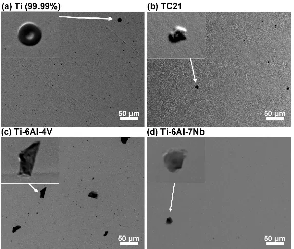 Figure 11 -  SEM micrographs taken in secondary electron mode for each investigated sample: (a) pure Ti as a reference, (b) TC21 alloy, (c) Ti-6Al-4V, (d) Ti-6Al-7Nb at the end of one-week long exposure in 0.9% NaCl at 37 °C