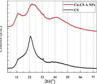 Figure 5. XRD patterns of chitosan (CS) and Cu-CS A NPs.