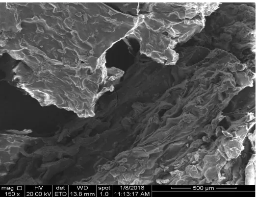 Figure 6. SEM image for Cu-CS NPs  