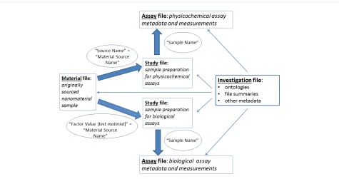 Figure 1: A schematic illustration of the links between ISA-TAB-Nano files. Biological or material samples are prepared for measurements in bio-logical or physicochemical assays respectively