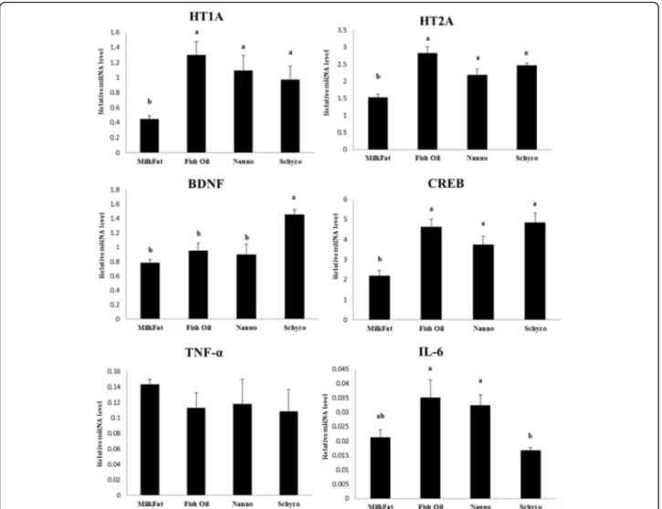 Fig. 1 Effect of dietary treatments on the relative expression levels of serotonin 5-HT1A receptor (HT1A), serotonin 5-HT2A receptor (HT2A), brain- brain-derived neurotrophic factor (BDNF), cAMP responsive element binding protein (CREB), tumour necrosis fa