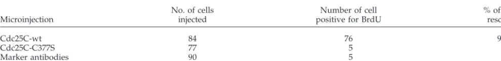 Table 3. DNA synthesis in cdc25C siRNA-transfected cells following cdc25C protein microinjection.