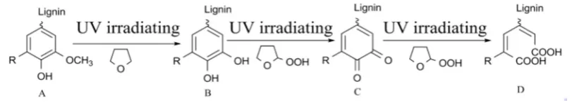 Table 1. Assignment of the absorption bands to the functional groups. 