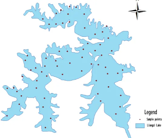 Figure 1. Distribution of sampling points. 