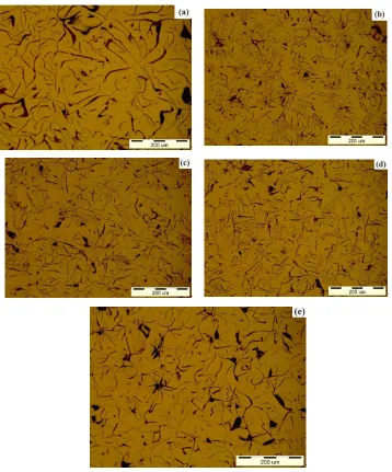 Fig. 3. Microstructures of cast irons before etching; (a) cast iron sample 1 containing 1 wt