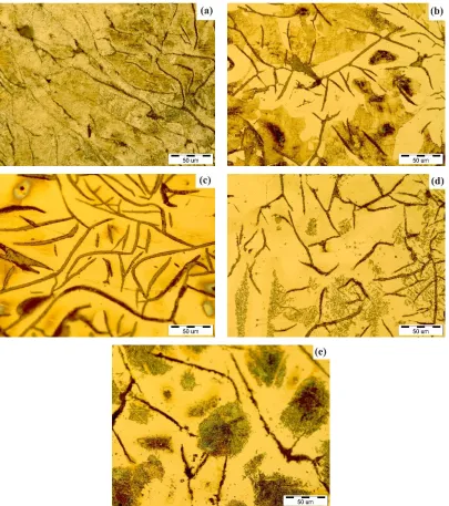 Fig. 4. Microstructures of cast irons after etching; (a) cast iron no. 1 containing 1 wt