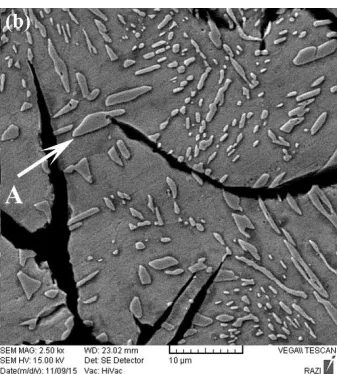 Fig. (5a) indicates the microstructure of cast iron sample 5 in a SEM image. It can be seen that the 