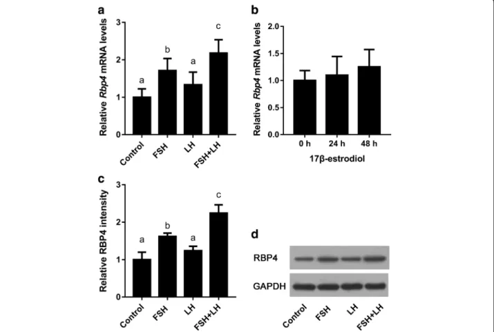 Fig. 2 Effects of gonadotropins and ovarian steroids on the expression of Rbp4 in the 3-week-old mouse ovary