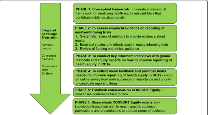 Fig. 1 Research Program for CONSORT Equity