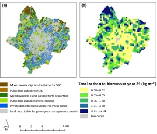 Fig. 2. (a)Availableurbangreenspacesuitable for management under the com-bined management approach and (b) totalcarbon assimilated both into above-groundtree biomass, and harvested in short-rota-tion coppice (SRC) over 25 years underthe combined management approach in250 9 250 m grids.