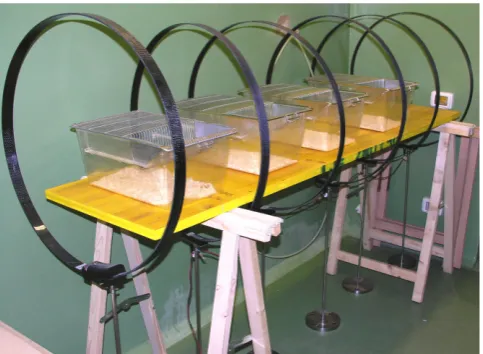 Figure 1. The exposure apparatus consisted of six coils in a Helmholtz configuration. Each coil, having a radius of 0.38 m, was made out of glass fibre, in which was embedded the copper wire