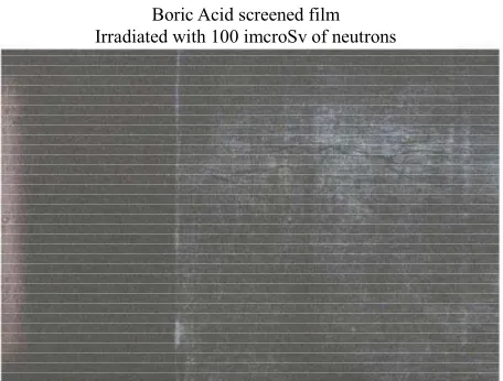 Figure 5. Neutron Detection from the Am-241 - Be source. Silver halide black and white film: sensitivity: 400 ISO; granular H3BO3