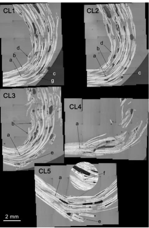 Fig. 9. Fracture surfaces of samples, set in clear resin, brightﬁeld illumination, 5�objective.