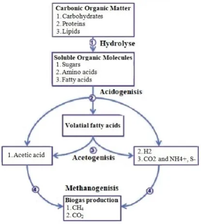 Fig 1. Anaerobic Fermentation Process (methane production process) 