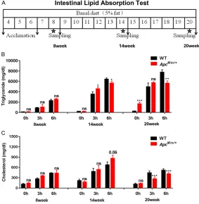 Figure 1. Gut barrier dysfunction in ApcMin/+ mice with colon cancer cachexia. A. Gut permeability was measured between the ApcMin/+ mice and the WT mice at 8, 14, and 20 weeks of age