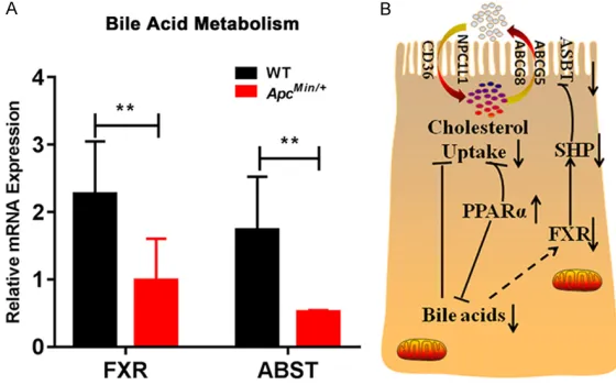 Figure 6. Bile acids affected intestinal cholesterol absorption in mice. A. cferences between the mean values were assessed by Student’s t-tests and analyzed using GraphPad Prism software 7.0