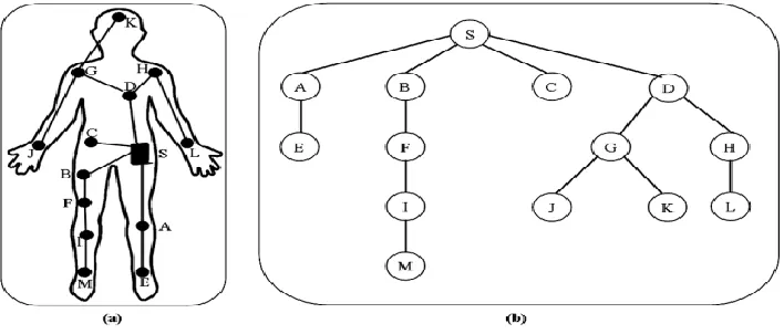 Figure 7: (a) On-body Network               (b) Summarize prospect of network [22] 