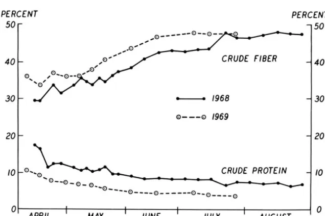 Figure 2. The 