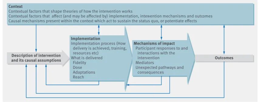 Fig 1 | Key functions of process evaluation and relations among them (blue boxes are the key components of a process evaluation