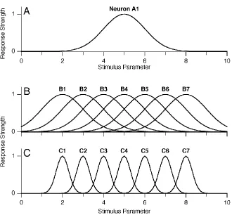 Figure 1.1. Awhere parameter(, the hypothetical tuning curve for neuron A1. This curve measures the re-sponse intensity (which ranges from 0 to 1) for this neuron, in response to a set of stimuli, p varies from 0 to 10
