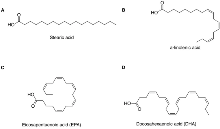 Figure 1.5: The structure of representative saturated and unsaturated fatty acids.Aand (C22:5n3 