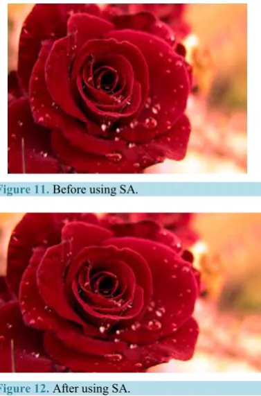 Figure 11. Before using SA. 