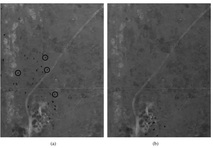 Figure 1. Images of the first (a) and second (b) acquisitions of pasture 15 indicating animal movement