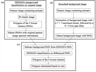 Figure 2. Outline of the steps taken in an ISODATA and background subtraction technique to identify animals in aerial imagery (a) Outlines generation of potential animal polygons (PAPs) from an unsupervised ISODATA process; (b) Outlines the background imag