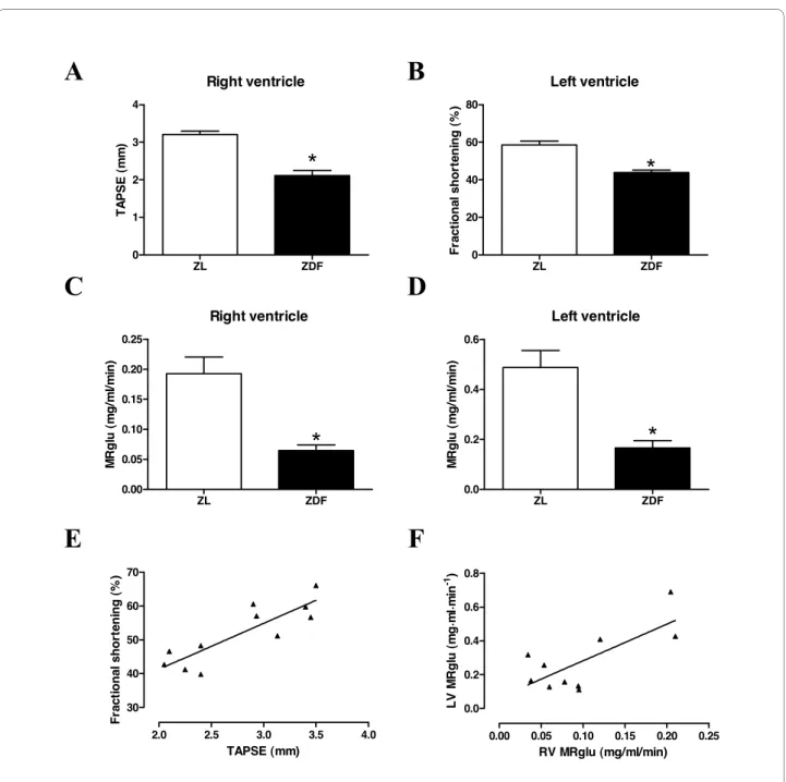 Figure 1 In vivo alterations in right and left ventricular glucose metabolism and function