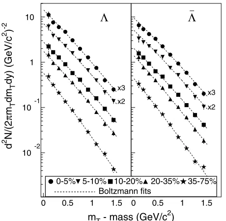 FIG. 2.Transverse mass distributions of � (left) and � (right)at midrapidity (jyj < 0:5) for selected centrality bins