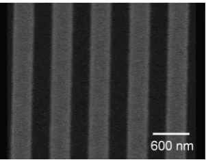 Figure 1. Simulation model of the diffraction grating structure using the RCWA me-thod (period: 600 nm, Au thickness: 40 nm)