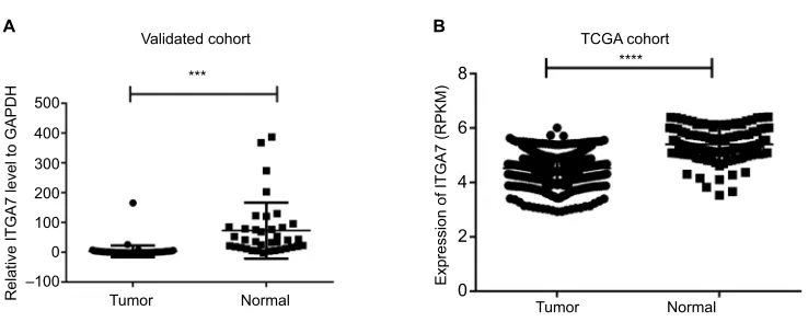 Figure 1 ITGA7Abbreviations: tissues. RPKM is used to represent expression of  expression in breast cancer in validated cohort and TCGA cohort.Notes: (A) ITGA7 expression was examined by RT-qPCR in 36 paired human breast cancer tissues and adjacent noncanc