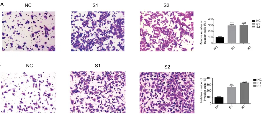 Figure 3 Abbreviations: control cells. stained cells were then counted manually from 5 randomly selected fields and normalized with cell proliferation