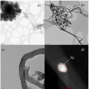 Figure 8. (a-c) TEM; and (d) STEM images of CNF obtained on Ni/Al.  