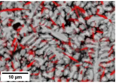 Figure 5 – SEM backscatter image of (a) undoped Raney-type precursor alloy (Al-25 at.%Ni)and (b) equivalent 75 at.% Al alloy doped with 1.5 at.% Ti.