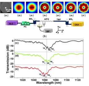 Figure 1. (a1) Optical microscope image of TMF; (a2) and (a3) Transverse mode intensity distributions of the fundamental vector modes HEx 11 and HEy 11, respectively; (a4)-(a7) Transverse mode intensity distributions of the first group high-order vector mo