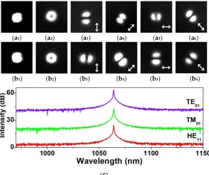 Figure 4 (a1) and (b1) Modes intensity distributions of HEx 11 and HEy 11 modes, respectively; (a2) and (b2) Modes intensity distributions of TM01 and TE01 modes, respectively; Mode intensity distribution of TM01 (a3-a6) and TE01 (b3-b6) modes in presence 