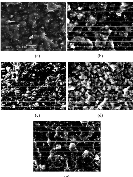 Figure 3. Scanning electron micrograph of fracture surface NR/CSM blend with different ENR content (a) 0 phr (b) 1 phr (c) 3 phr (d) 5 phr and (e) 7 phr