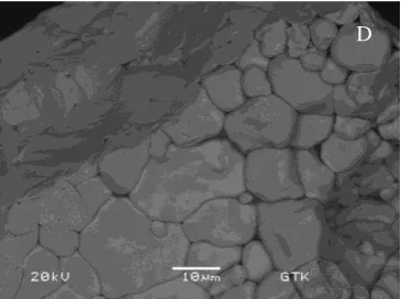 Fig. 10.  BSE images of 80 to 160 µm ThO2 particle after 4 weeks of leaching with 1 M HNO3 at 80°C