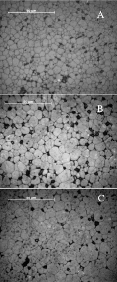Fig. 3. Optical microscopy images of the ThO2 pellet surface sintered at 1600 (A), 1700 (B), and 1750 °C (C)