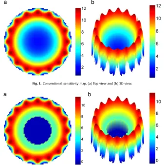 Fig. 1. Conventional sensitivity map. (a) Top view and (b) 3D view.