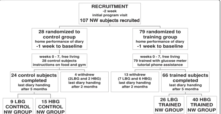 Figure 1 Consort flow chart of NW subjects and investigation design. Randomized and controlled 5-month clinical investigation (and drop outs) to study the effect of IHMP on normal body weight after training.