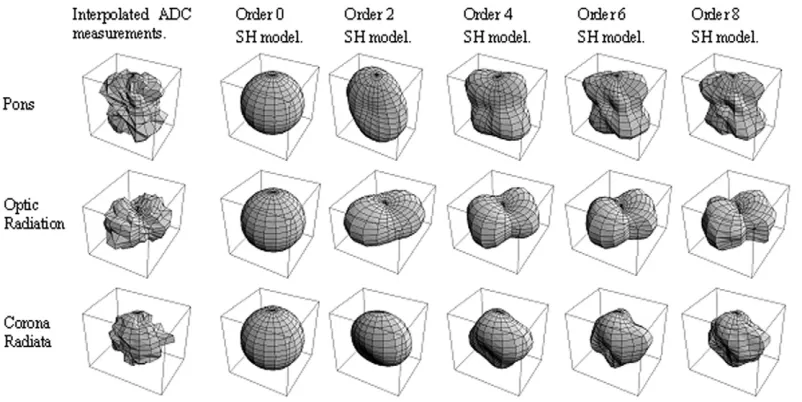 FIG. 5. Typical measurements (left) together with SH models of orders 0, 2, 4, 6, and 8 (second from left to right) from each of the threehigher-order clusters labeled in Fig